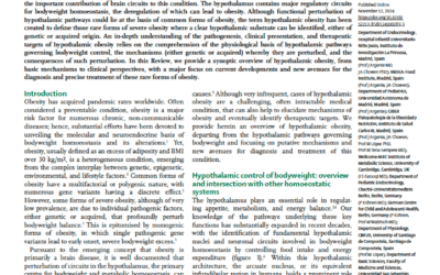 Publicado en The Lancet Diabetes & Endocrinology: Estudio sobre obesidad hipotalámica con participación de miembros de ReTIT-PUB
